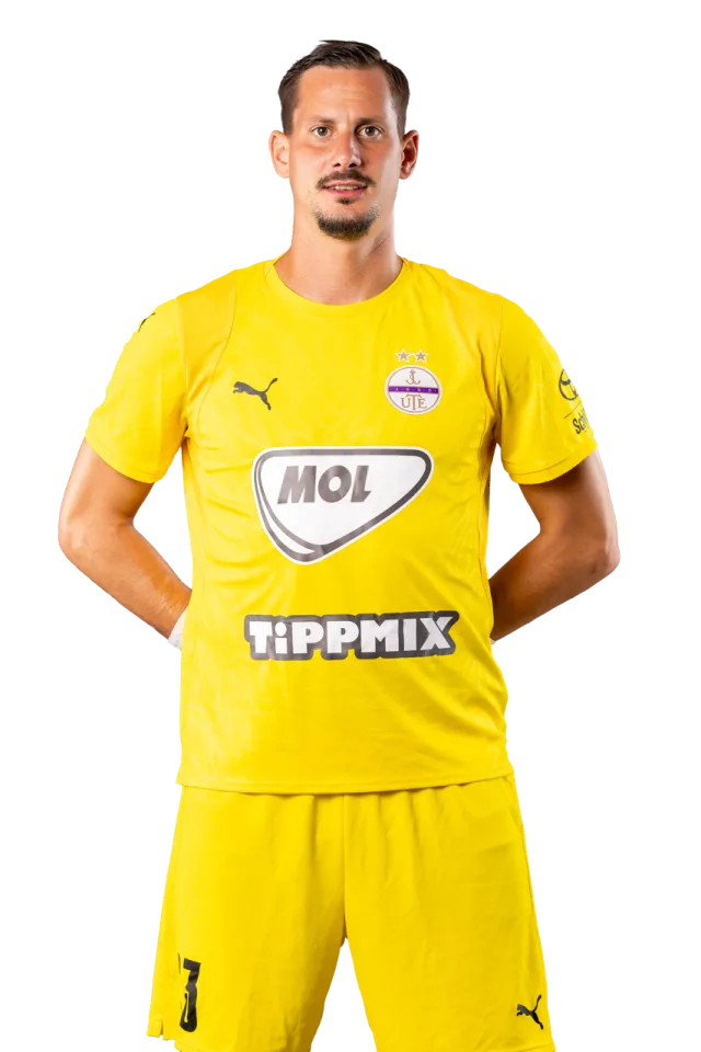 Banai Dávid portré